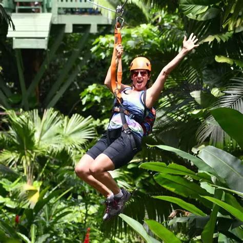 Maui Zipline Tours – excursionshawaii