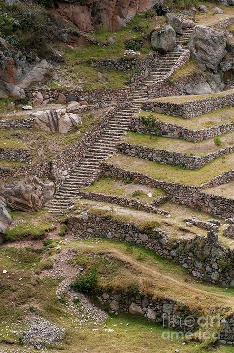 Inca Farming Terraces Photograph by Bob Phillips - Fine Art America