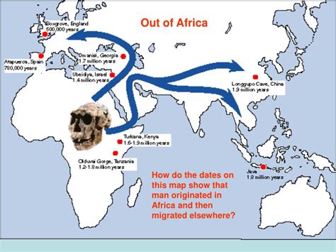 PPT - Human Origins in Africa PowerPoint Presentation, free download ...