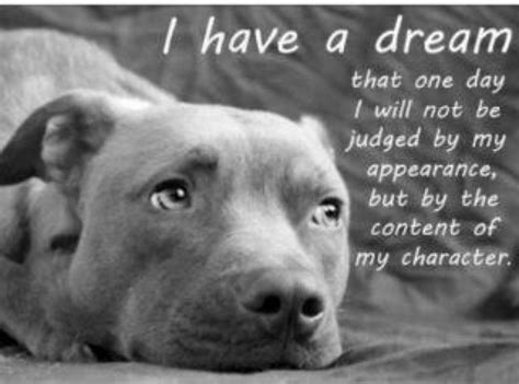 Quotes About Dogs And Owners. QuotesGram