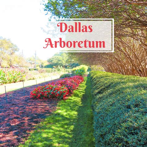 Dallas Arboretum – Dorworth Adventures