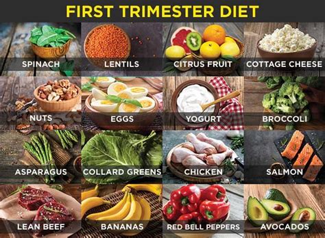 16 Best Protein Foods To Eat In Your First Trimester | Pregnancy food, First trimester, Foods to eat