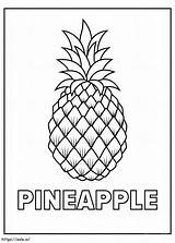 Printable Pineapple Coloring Page sketch template