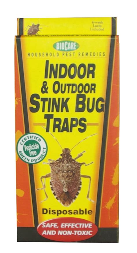 The Best Indoor Stink Bug Traps | War on Stink Bugs