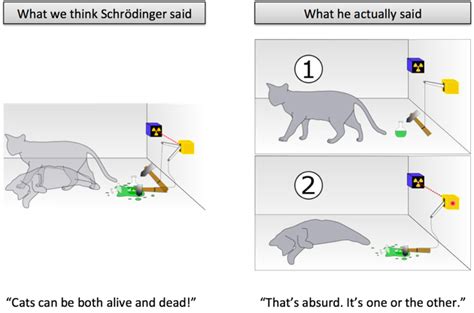 Learning Gotcha: How We Misunderstood Schrödinger’s Cat – BetterExplained