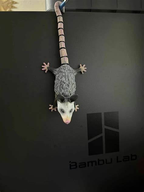 3D printing Hanging Opossum • made with Bambu P1S・Cults