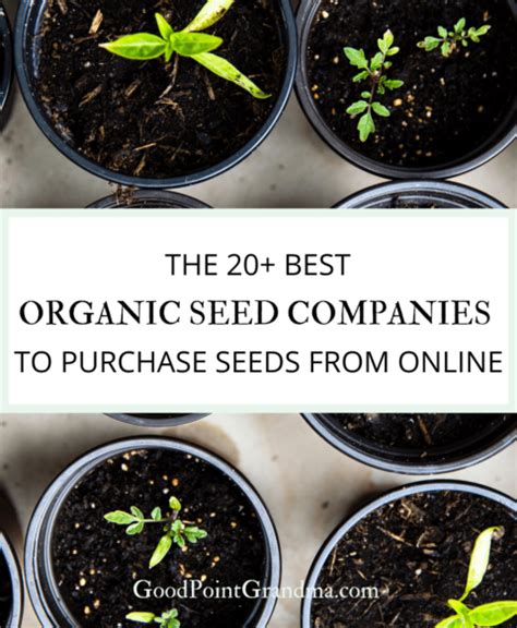 The 20+ Best Organic Seed Companies To Purchase Seeds From Online