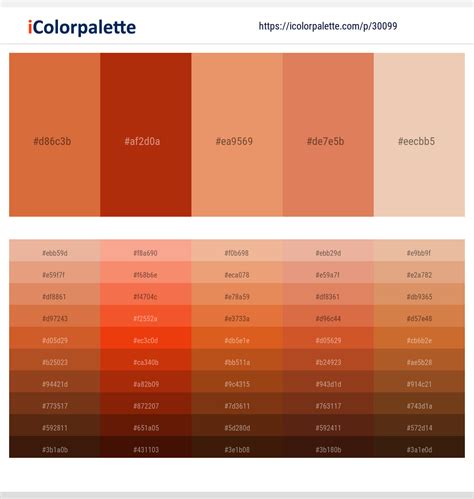 1 Latest Color Schemes with Rust And Desert Sand Color tone combinations | 2024 | iColorpalette