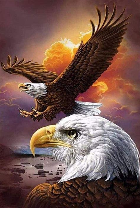 Pin by Doris Jones on ANIMAL'S in 2020 | Eagle painting, Eagle ...