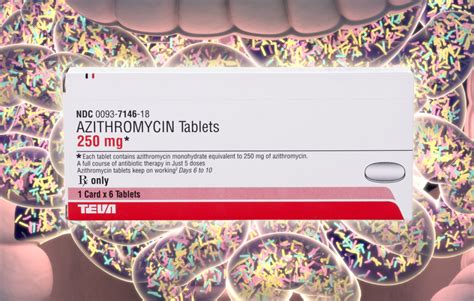 Azithromycin May Attenuate Allergic Airway Inflammation in Asthma via Gut Microbiota ...