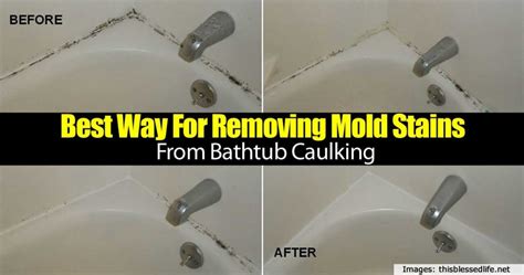 Best Way For Removing Mold Stains From Bathtub Caulking - Home Garden Pulse