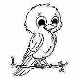 Little bird  Bird Coloring Pages sketch template