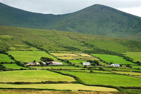 Green Ireland Photograph by Pierre Leclerc Photography | Fine Art America