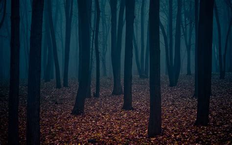 Dark Forest Desktop Wallpapers - Top Free Dark Forest Desktop Backgrounds - WallpaperAccess