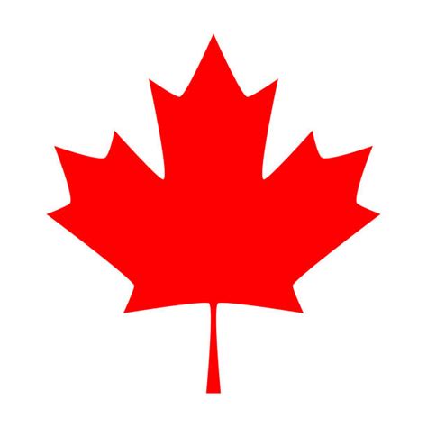 Canada Flag Leaf Wallpaper