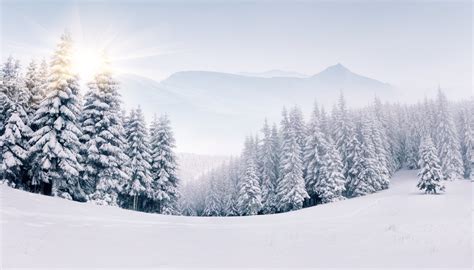 Download Landscape Forest Sunshine Sun Mountain Nature Winter 4k Ultra HD Wallpaper