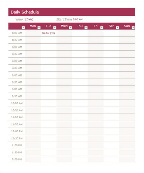 Excel daily schedule template - agilegulu