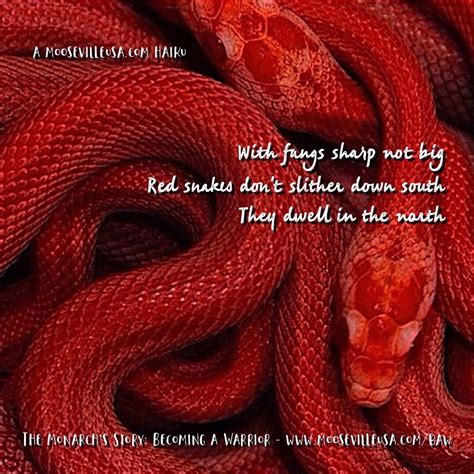 Red and Green Snake Synopsis 2 (10/19/18) #BecomingaWarrior # ...