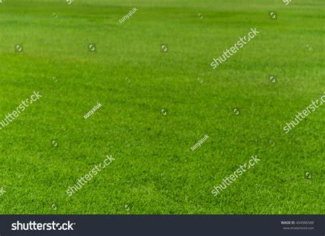 Green Turf Floor Texture Background Stock Photo 404986588 | Shutterstock