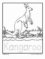 K Is For Kangaroo Coloring Page  Woo Jr Kids Activities Childrens sketch template