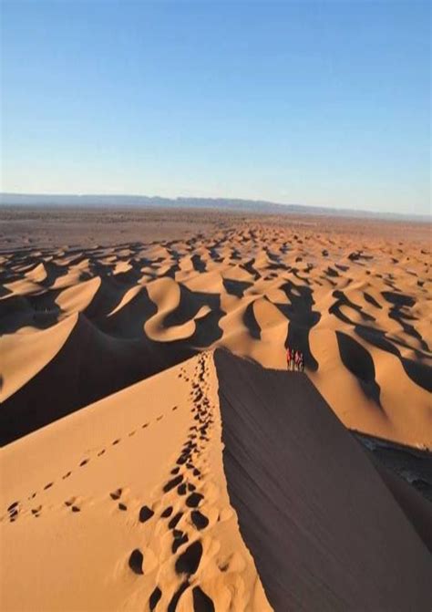 the best moroccan desert tour Morocco Packing, Morocco Tours, Morocco ...