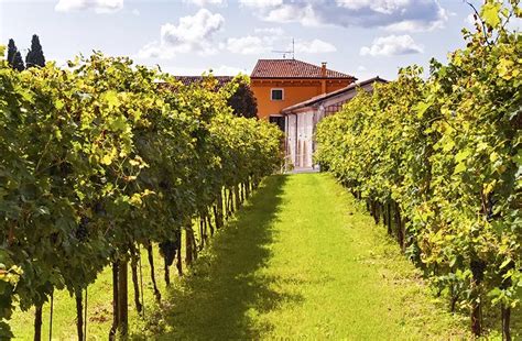 Valpolicella: The Best Italian Wine Region You've Never Heard Of • Wander Your Way