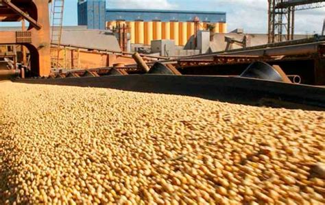 Brazilian agriculture record sales; China main client, soy and beef ...