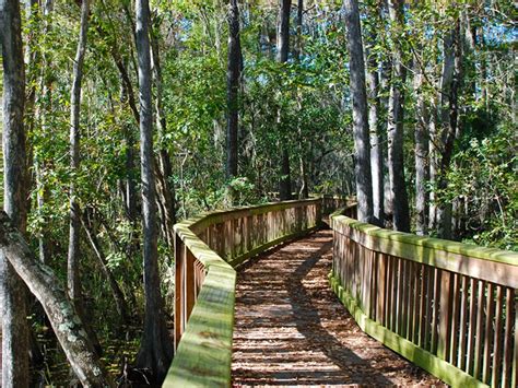 Nature Parks in Fort Myers, Florida