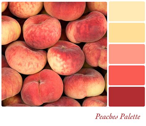 What Colors Make Peach? How to Make Peach Color