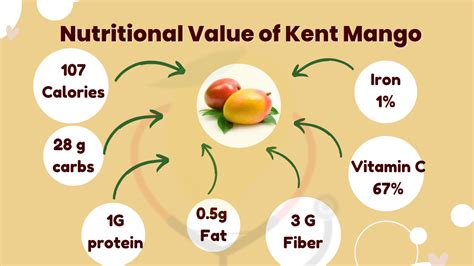 Kent Mango- Origin, Characteristics, Nutrition, Amazing Benefits & Recipes - Mango Dose