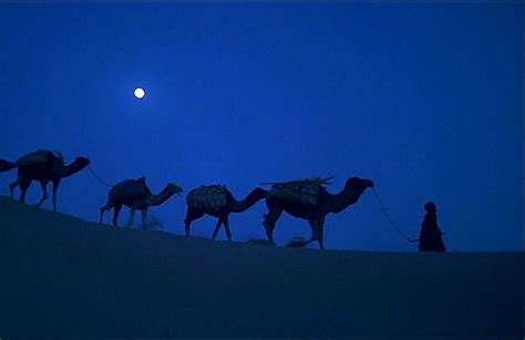 The Sheltering Sky | George Eastman Museum