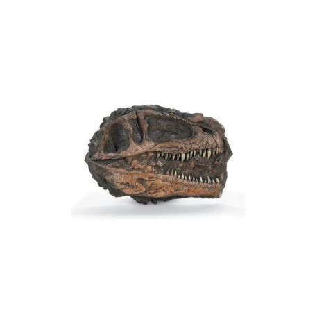 Giganotosaurus Skull Plaque Replica: Dinosaur Skull | Nature-Watch