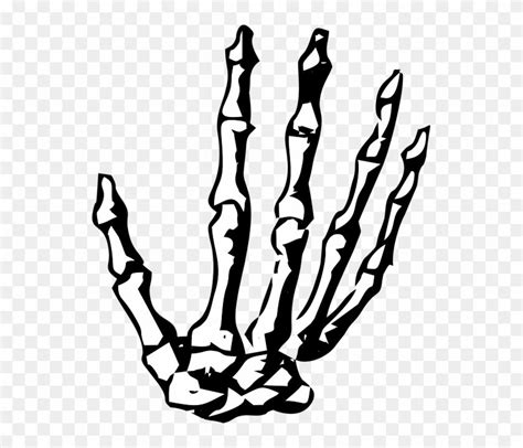 Skeleton Hand Transparent PNG