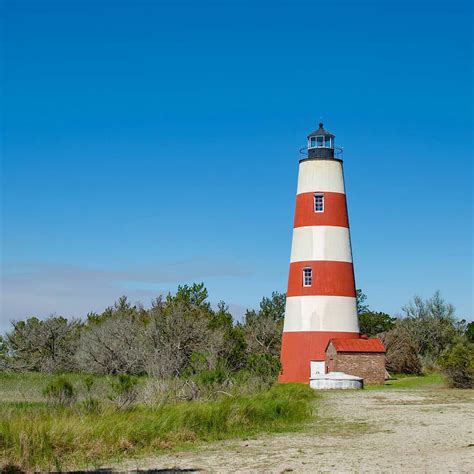 Sapelo Island Things to Do | Explore Georgia