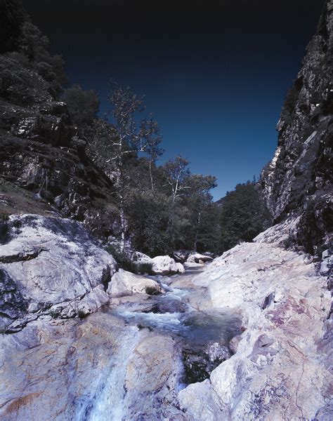 J steinberg - Tassajara Zen Mountain Center 70mm Film 2008