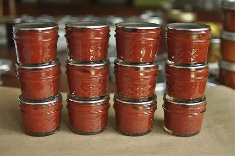 Canning Tomato Paste - The Homestead Survival