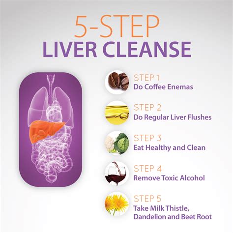 5 STEP LIVER CLEANSE - graphic - Myersdetox.com