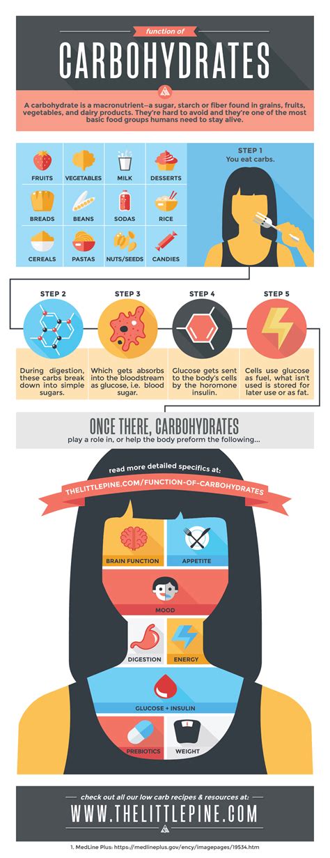 8 Function of Carbohydrates In our Bodies — What They Do + Why!