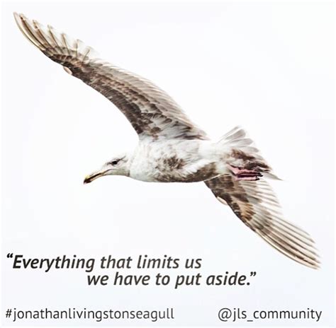 a seagull flying in the sky with a quote about everything that limits ...