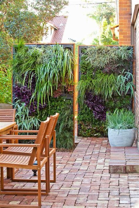 Outdoor Plant Wall Inspiration: Ideas for Creating a Beautiful Vertical Garden