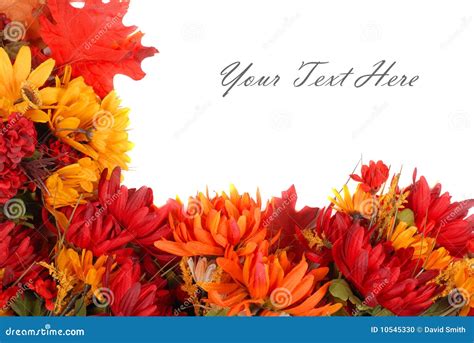 Autumn Flowers Border Stock Photo - Image: 10545330