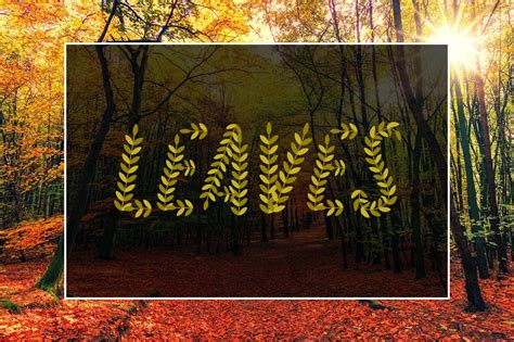 Autumn Leaves SVG Font (909368) | SVG / Color | Font Bundles