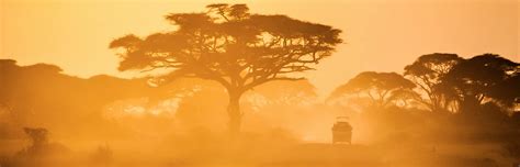 Namibia vs South Africa | Namibia Tours & Safaris