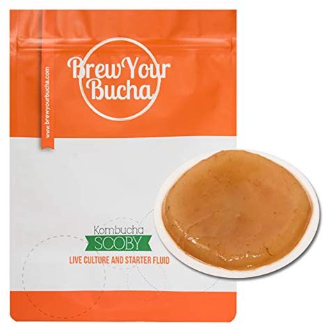 Brew Your Bucha Kombucha Scoby with Starter Fluid | Kombucha Starter Kit with Scoby, Live ...