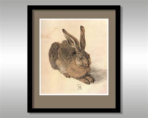 Young Hare 1502 by Albrecht Durer Reproduction Print FREE - Etsy