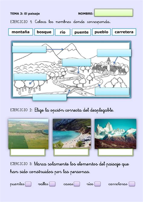 Actividad online de El paisaje para Primero de Primaria. Puedes hacer los ejercicios online o ...