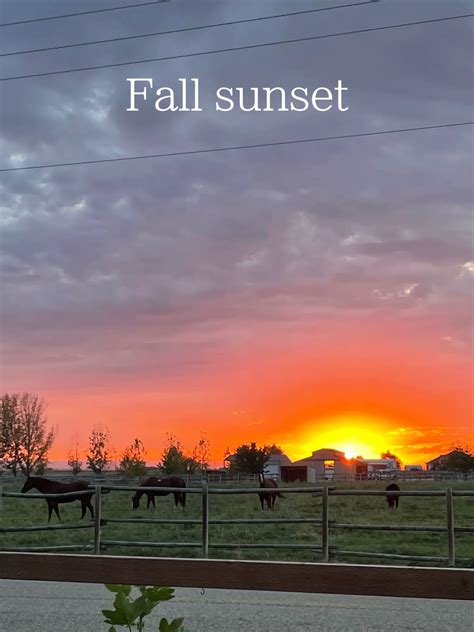 Fall sunset | Gallery posted by Farmhouse21 | Lemon8