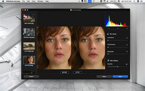 WidsMob Denoise - Versatile Image Noise Reduction Software