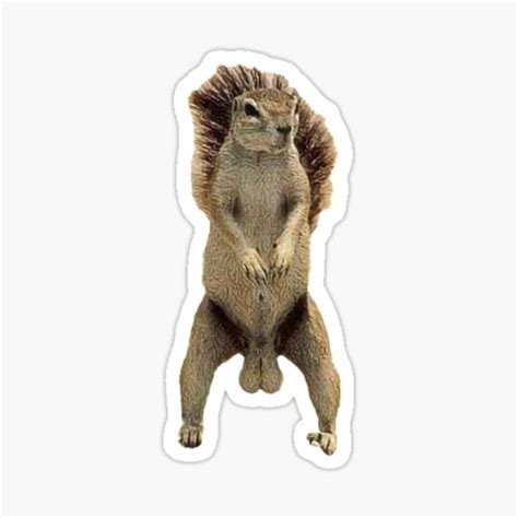 "Deez Nuts Squirrel " Sticker for Sale by Max-Redshop | Redbubble