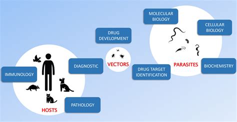 Parasitic Pathogens - A section of Pathogens